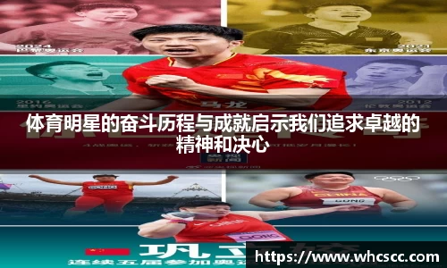 bsports官网入口