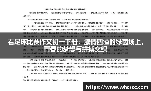 B体育官网