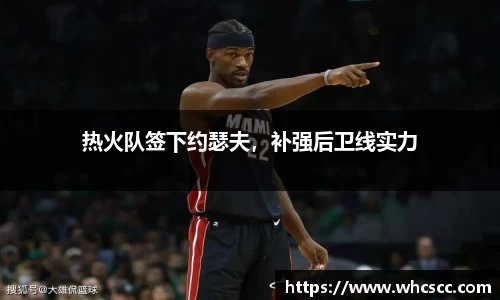 bsports官网入口