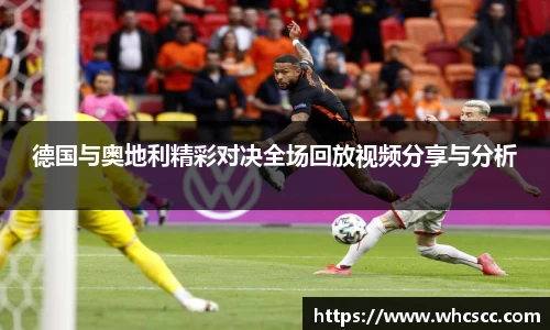 B体育bsports