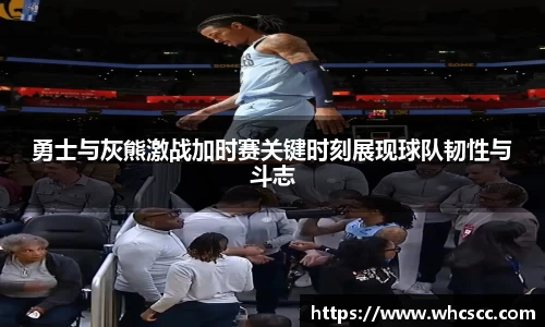 bsports官网入口
