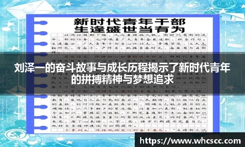 bsports官网入口