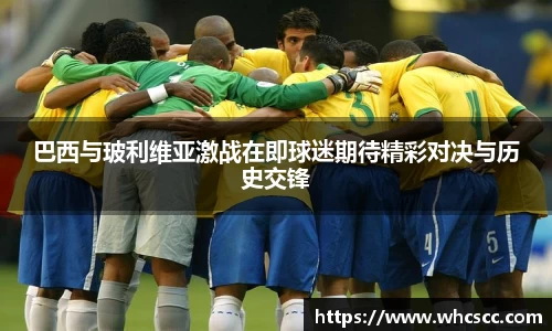 B体育bsports