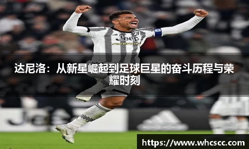 bsports官网入口