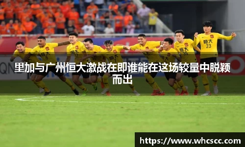 bsports官网入口