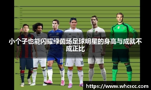 小个子也能闪耀绿茵场足球明星的身高与成就不成正比